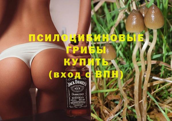ALPHA-PVP Верея